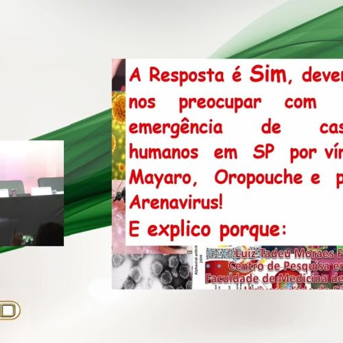 110 – Oropouche, Mayaro e Arenavírus