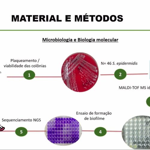 40 – O Papel dos Genes de Resistência e Virulência em Cepas de Staphylococcus Epidermidis na Patogênese e no Resultado