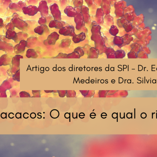 Varíola dos macacos: O que é e qual o risco de transmissão?
