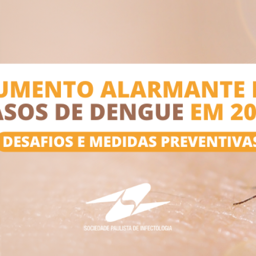 Aumento alarmante de casos de Dengue em 2024: desafios e medidas preventivas
