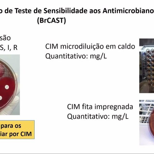 64 – Epidemiologia da Resistência Pneumococo